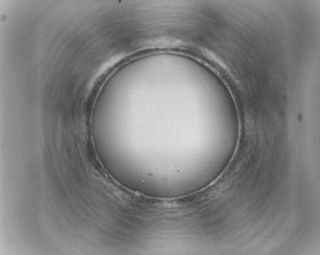 X0000070881315200607071938