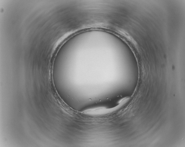 X0000070881316200607071938