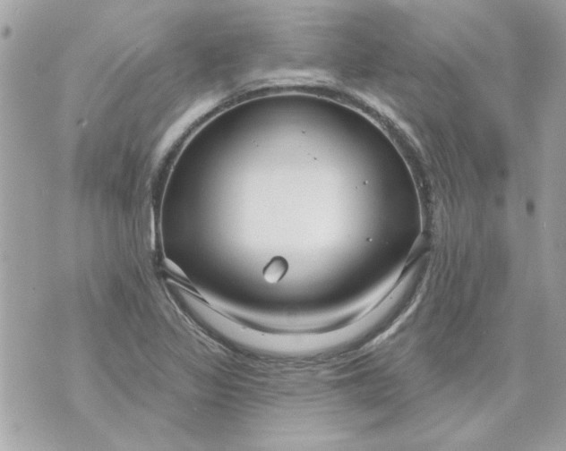 X0000070881317200607071938