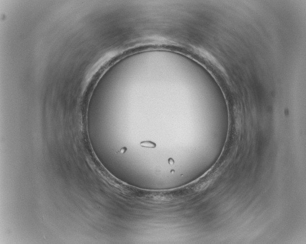 X0000070881318200607071938