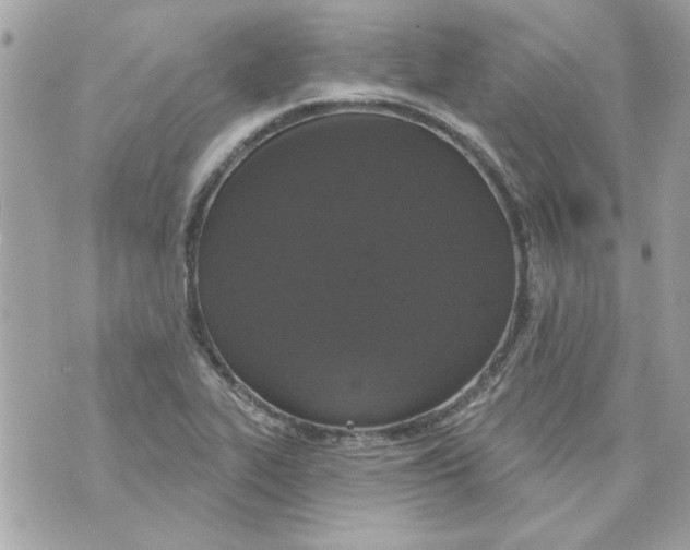 X0000070881319200607071938