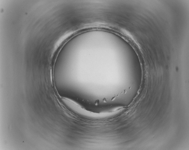 X0000070881320200607071938