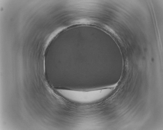 X0000070881323200607071938