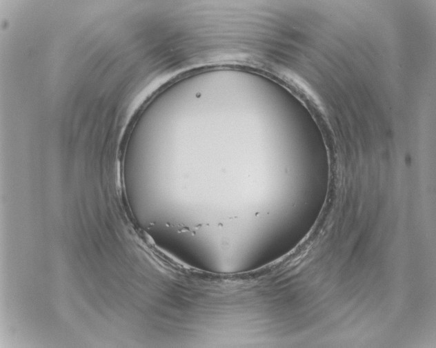 X0000070881324200607071938