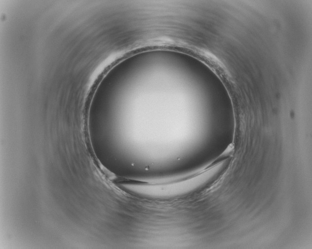 X0000070881326200607071938