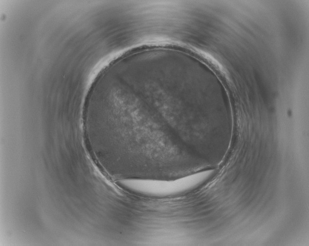 X0000070881327200607071938