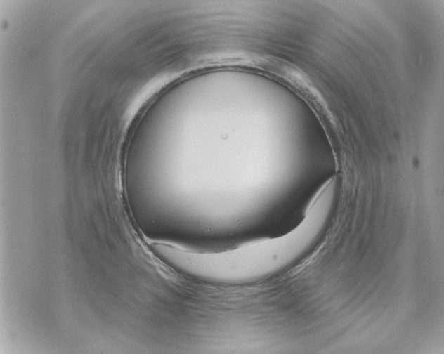 X0000070881328200607071938