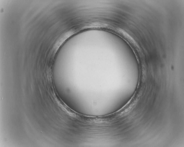 X0000070881329200607071938