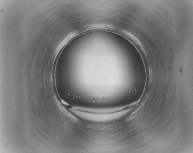 X0000070881330200607071938