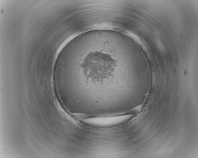 X0000070881331200607071938