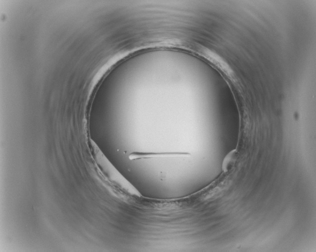 X0000070881332200607071938