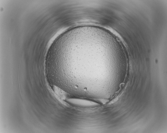 X0000070881333200607071938