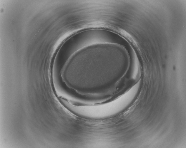 X0000070881334200607071938