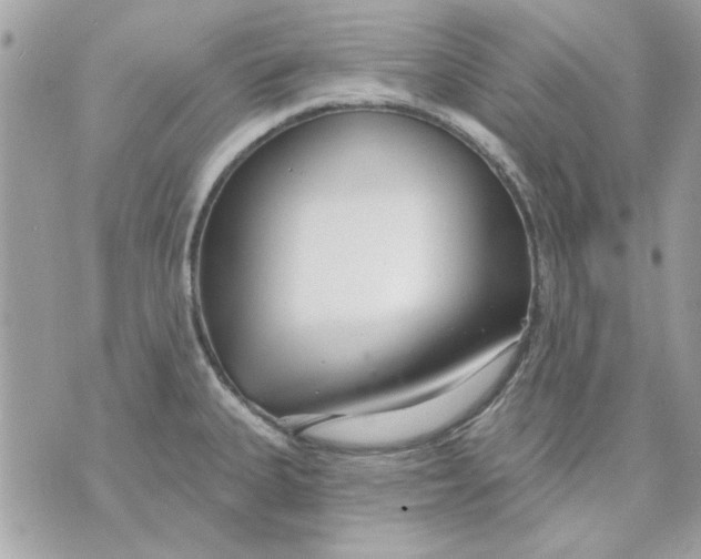 X0000070881335200607071938