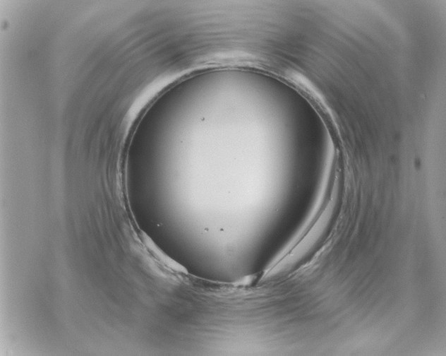 X0000070881336200607071938