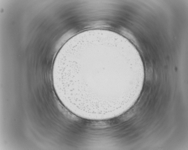 X0000070881338200607071938