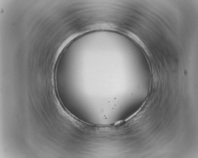 X0000070881339200607071938