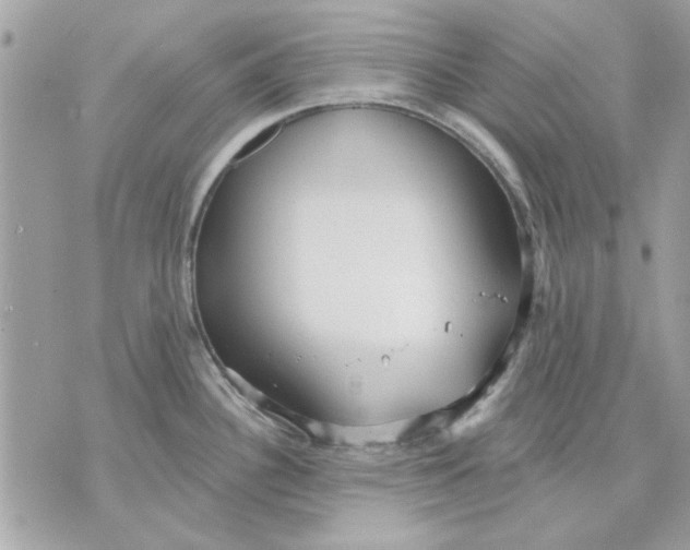 X0000070881340200607071938