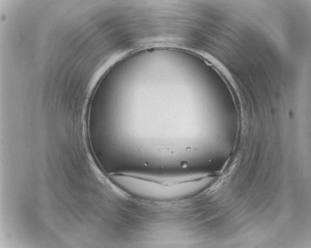 X0000070881341200607071938