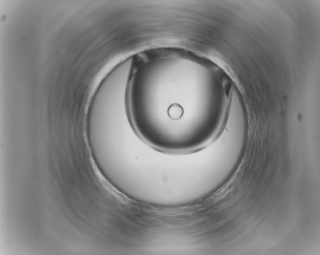 X0000070881342200607071938