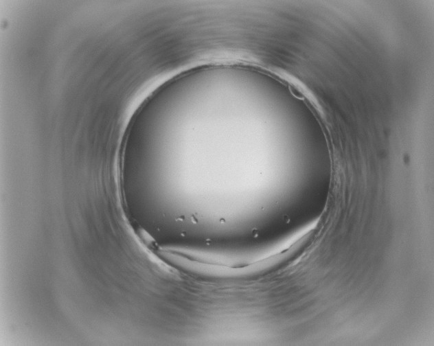 X0000070881343200607071938