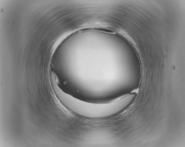 X0000070881344200607071938