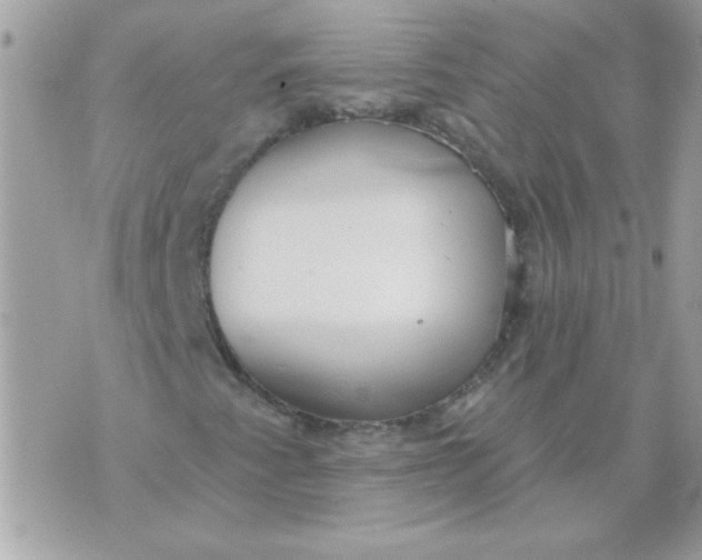 X0000070881345200607071937