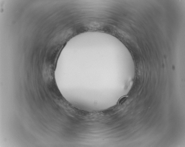 X0000070881346200607071937