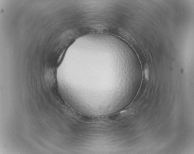 X0000070881347200607071937