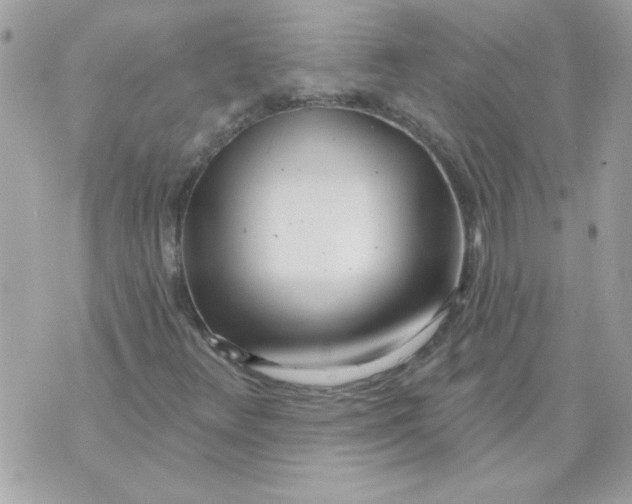 X0000070881348200607071937