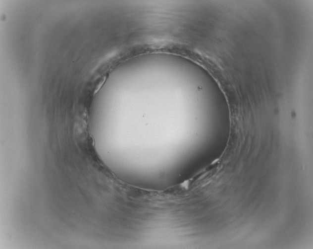 X0000070881349200607071937