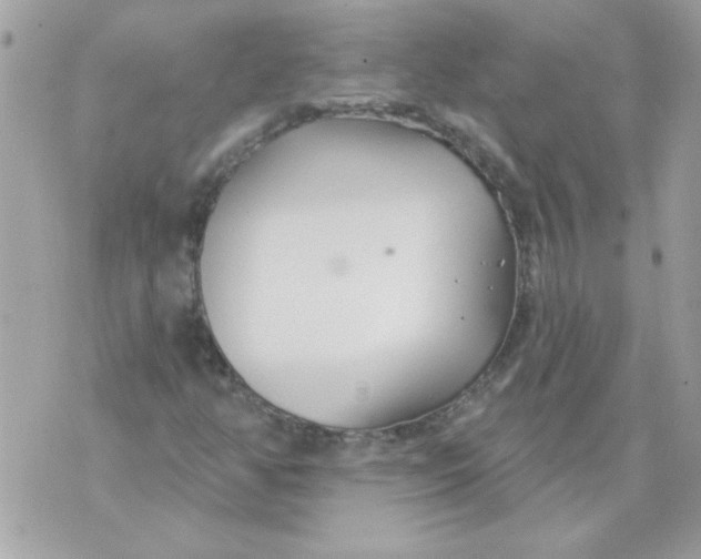 X0000070881350200607071937