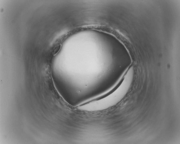 X0000070881351200607071937