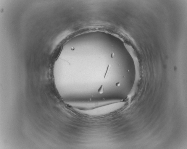 X0000070881352200607071937