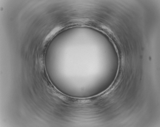 X0000070881354200607071937