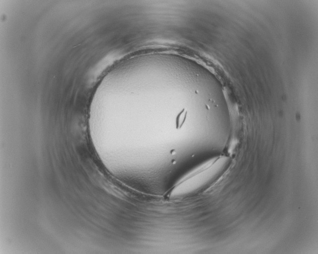 X0000070881355200607071937