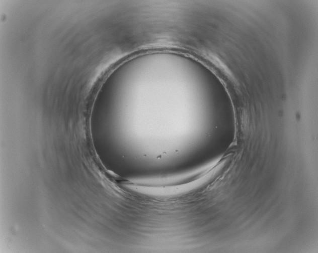 X0000070881356200607071937