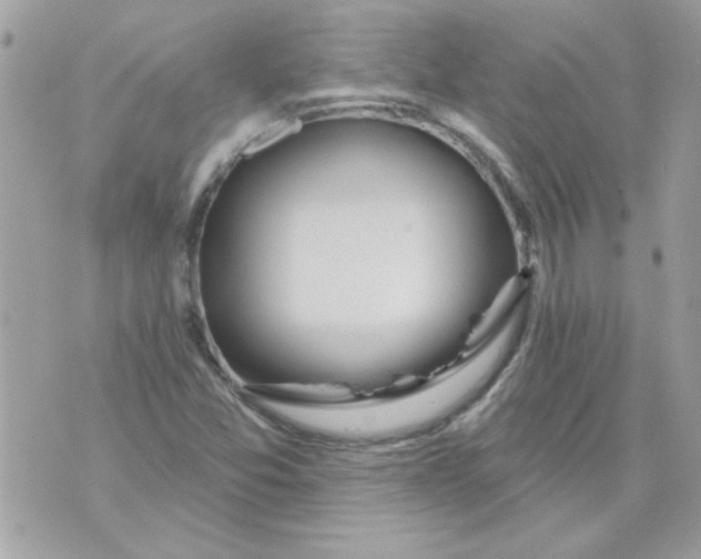 X0000070881357200607071937