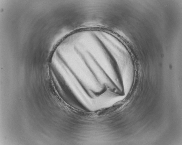 X0000070881358200607071937