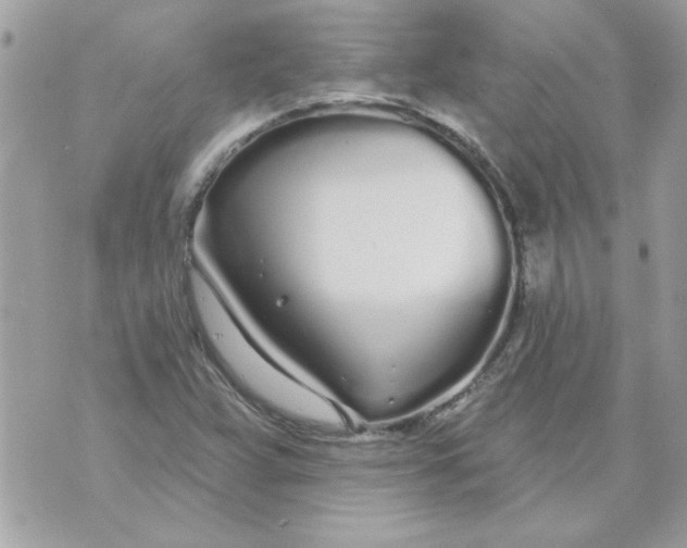 X0000070881359200607071937