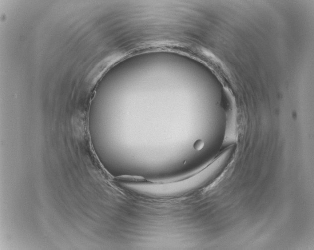 X0000070881361200607071937