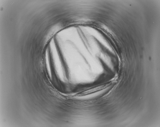 X0000070881362200607071937