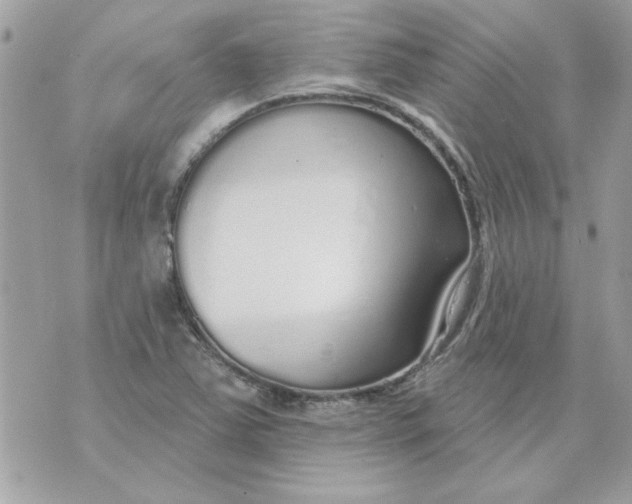 X0000070881363200607071937