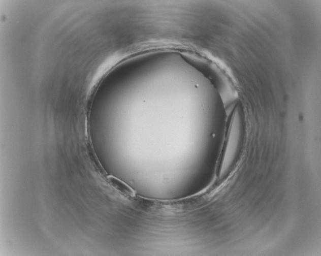 X0000070881365200607071937