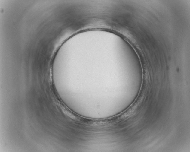 X0000070881366200607071937