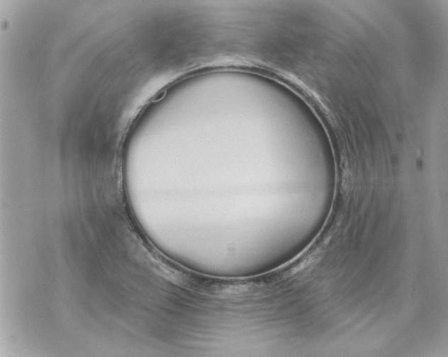 X0000070881367200607071937