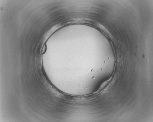 X0000070881370200607071937