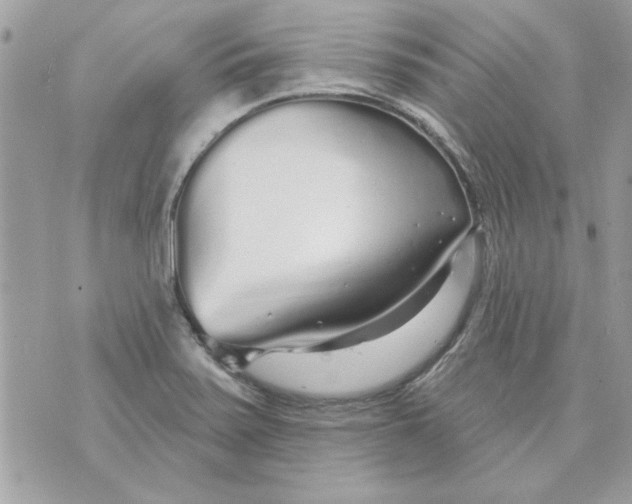 X0000070881371200607071937