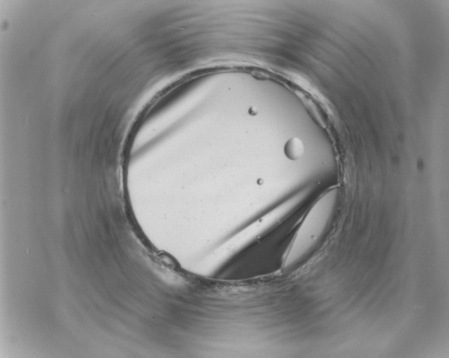 X0000070881372200607071937