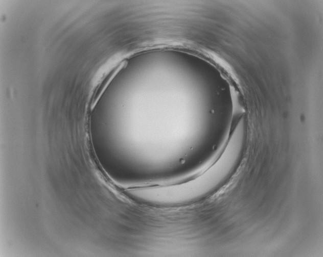 X0000070881373200607071937